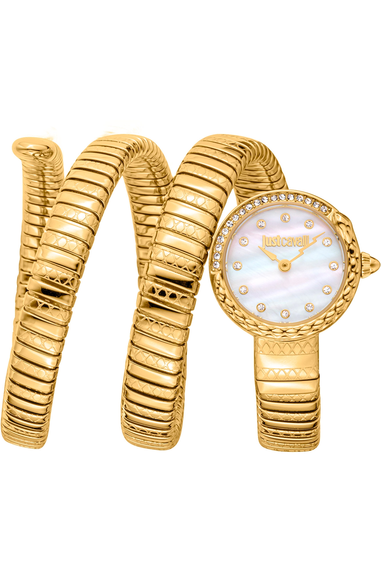 JUST CAVALLI Mod. JC1L302M0025