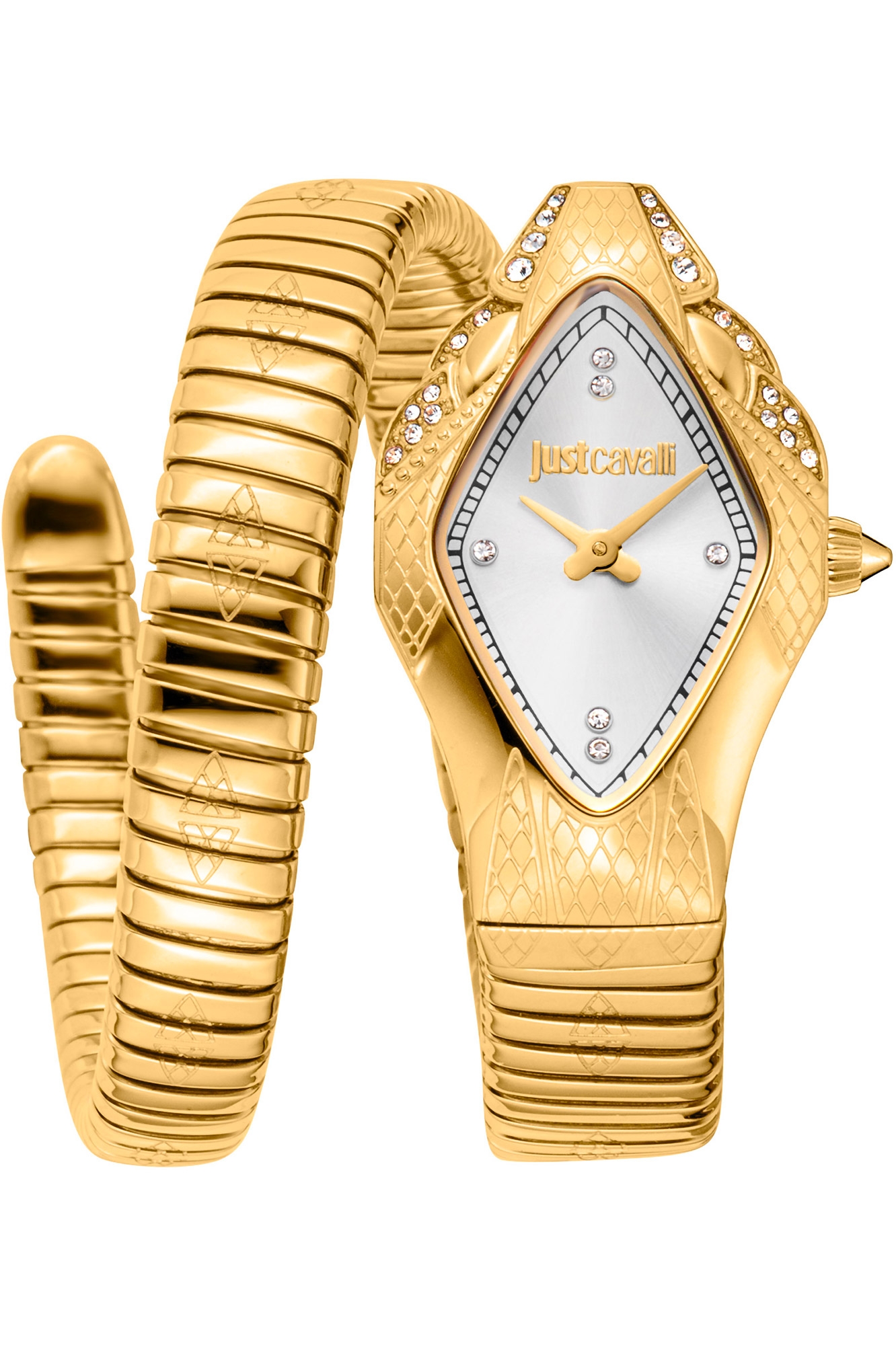 JUST CAVALLI Mod. JC1L306M0035