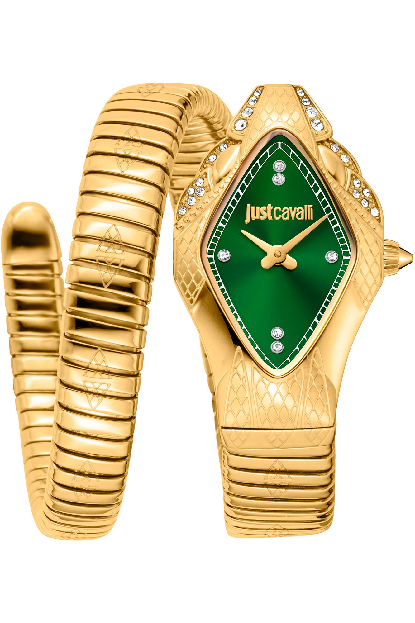 JUST CAVALLI Mod. JC1L306M0045