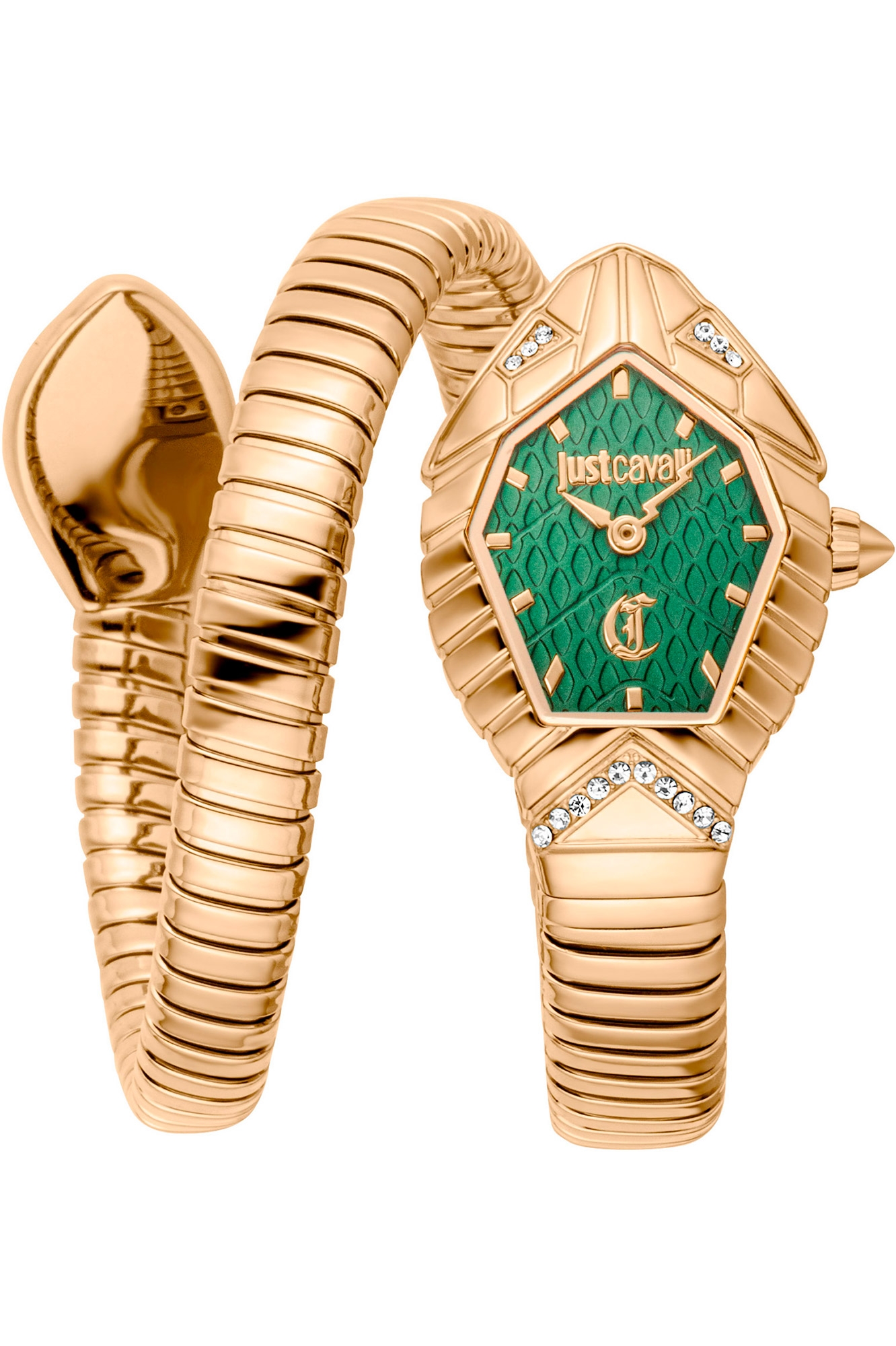 JUST CAVALLI Mod. JC1L356M0035