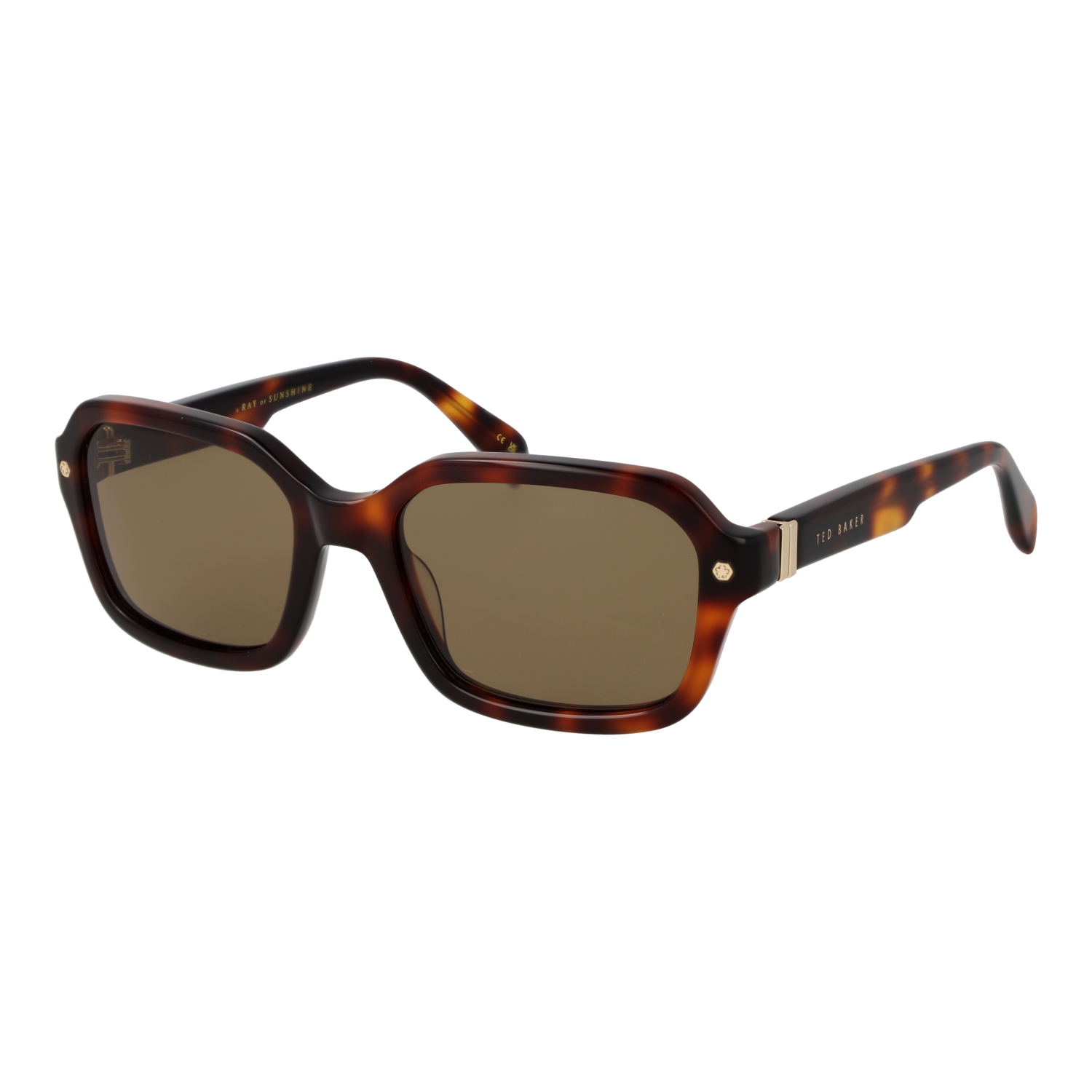 TED BAKER MOD. TB1697 55101