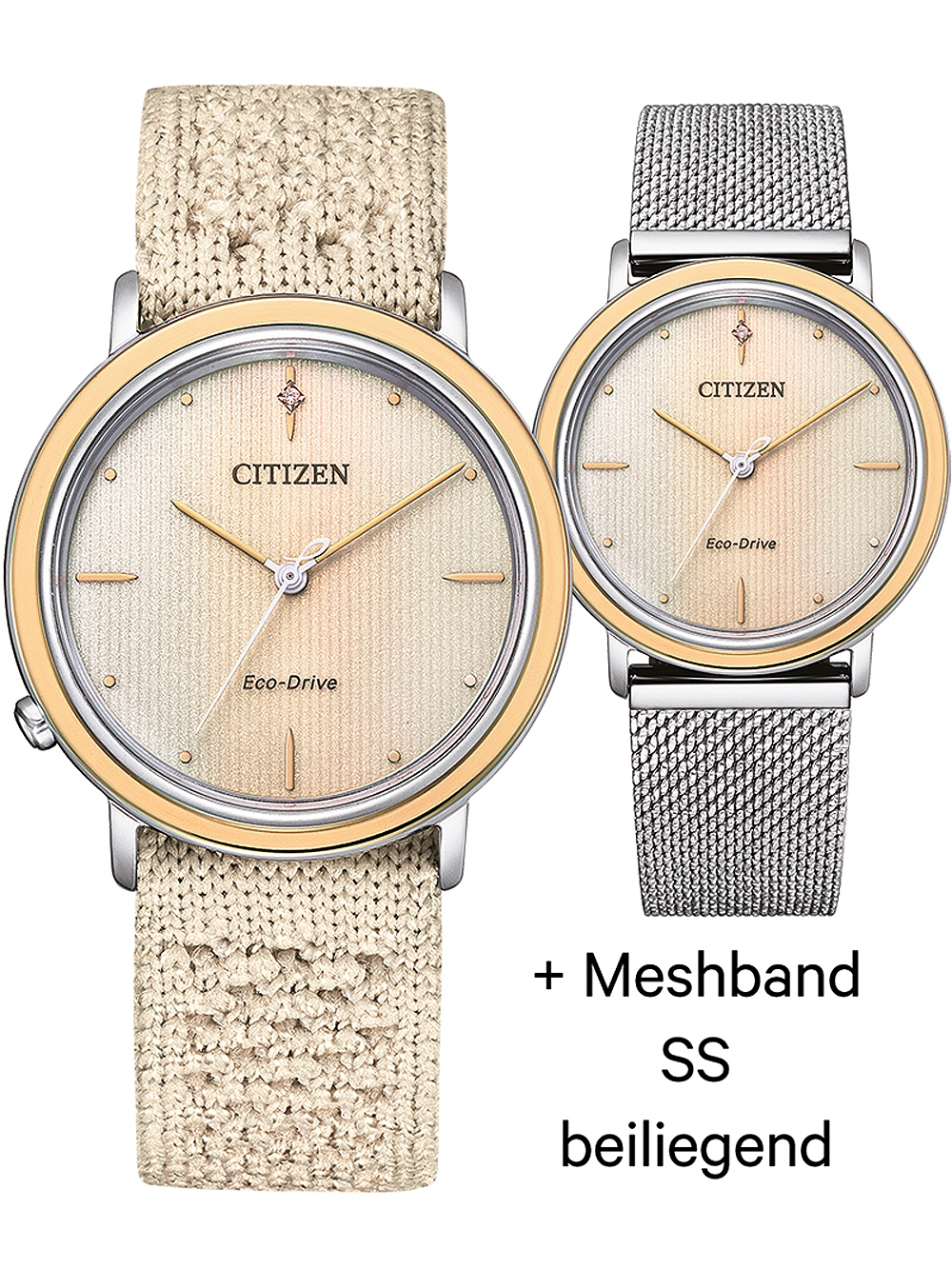 CITIZEN Mod. EM1006-40A