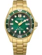 CITIZEN Mod. BN0262-59W