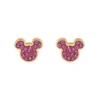 DISNEY JEWELS Mod. E600178YRPL-B-CS