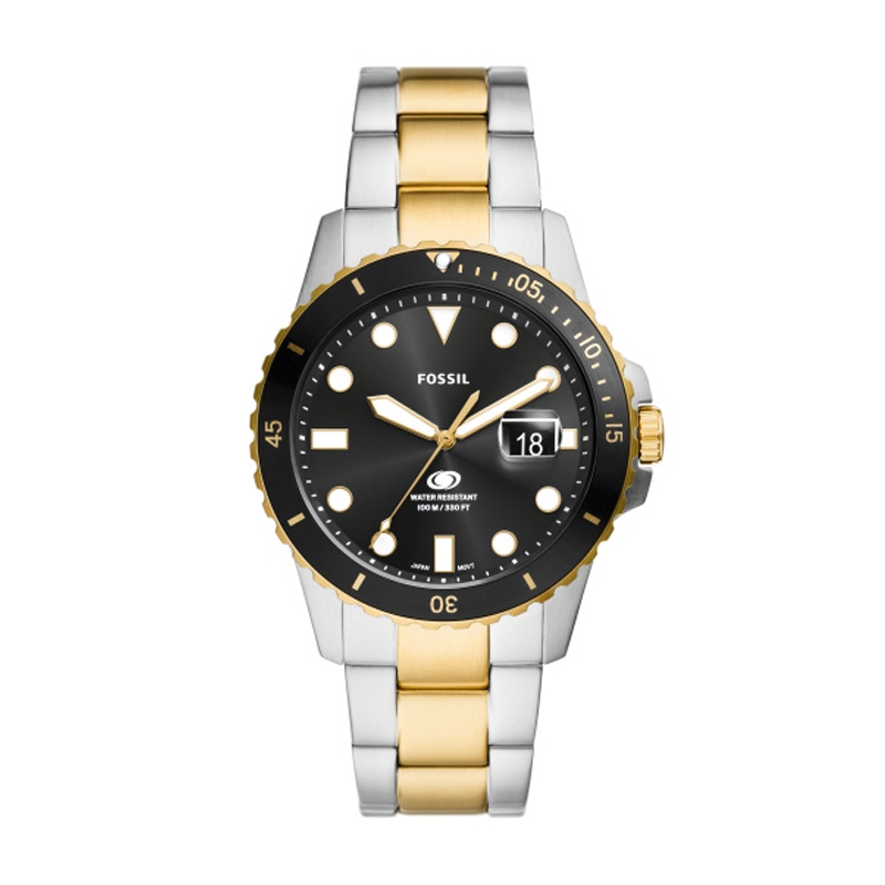 FOSSIL Mod. FS6031