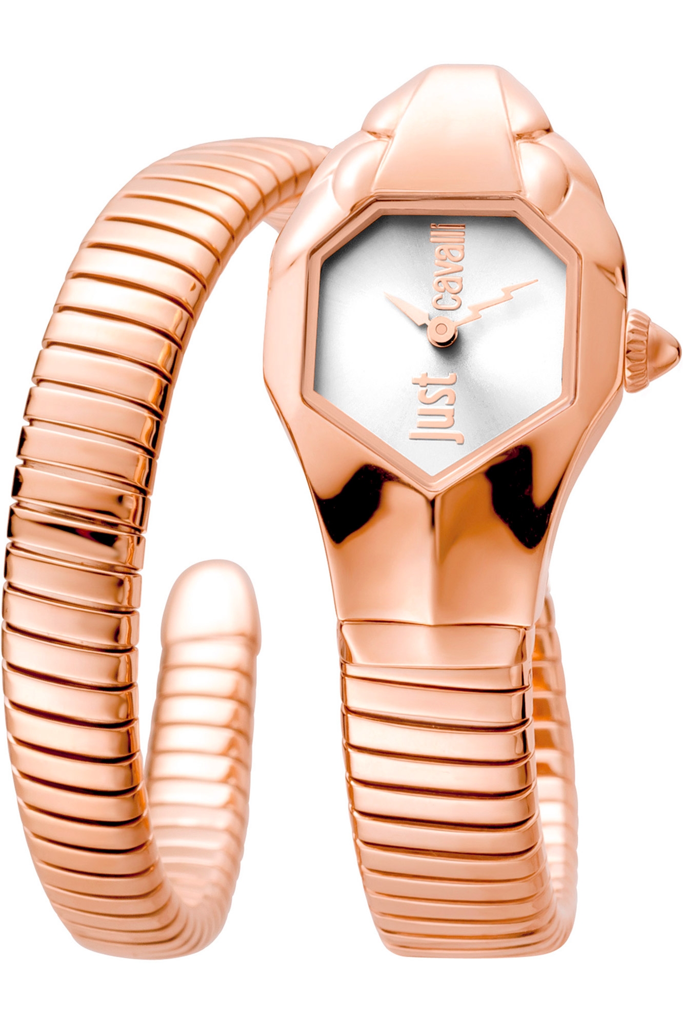 JUST CAVALLI MOD. JC1L001M0065