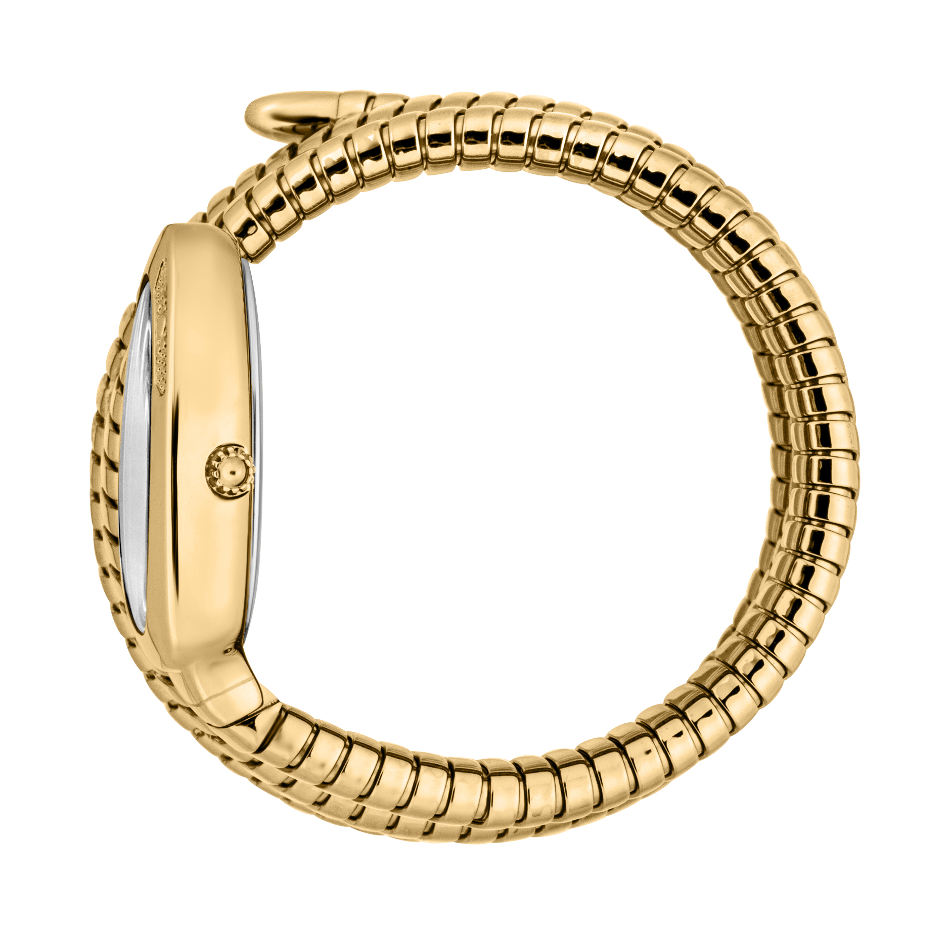 JUST CAVALLI TIME Mod. COSENZA 2023-24 COLLECTION