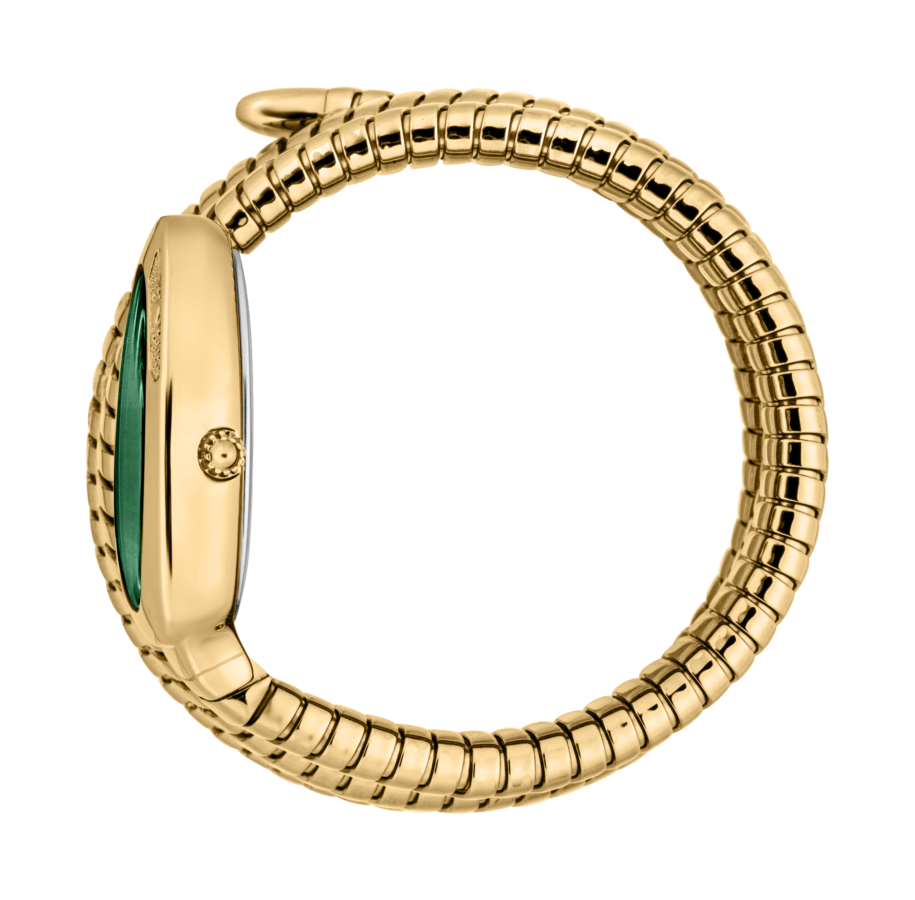 JUST CAVALLI TIME Mod. COSENZA 2023-24 COLLECTION