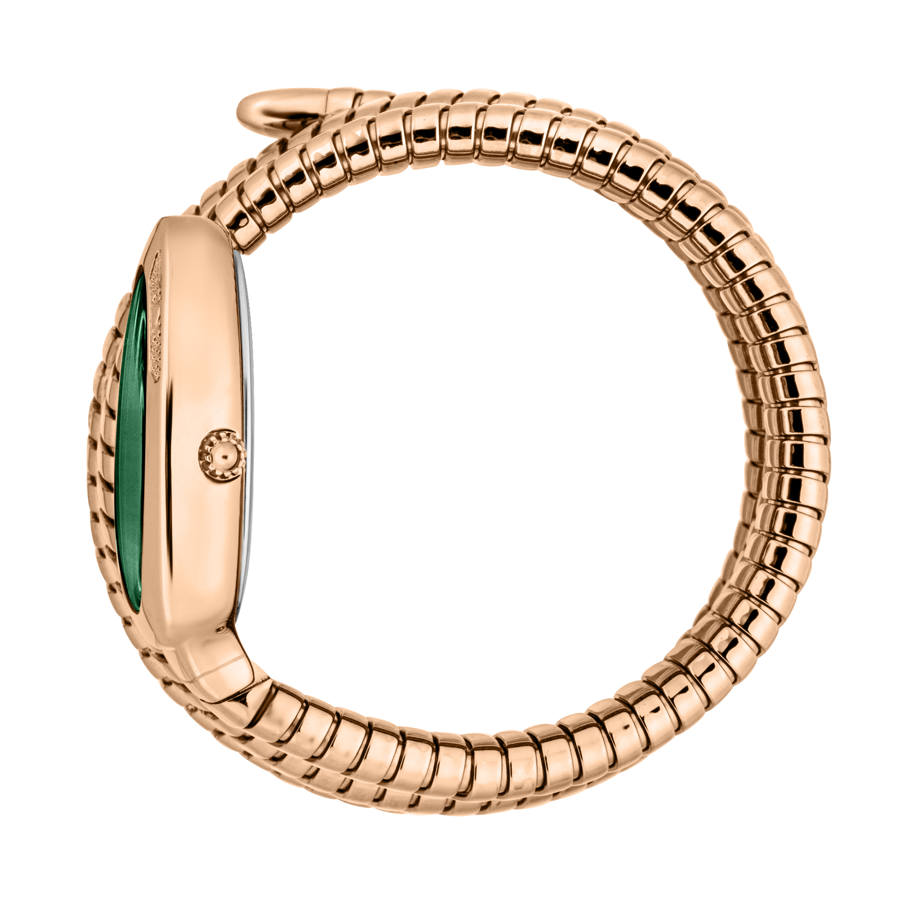 JUST CAVALLI Mod. SNAKE