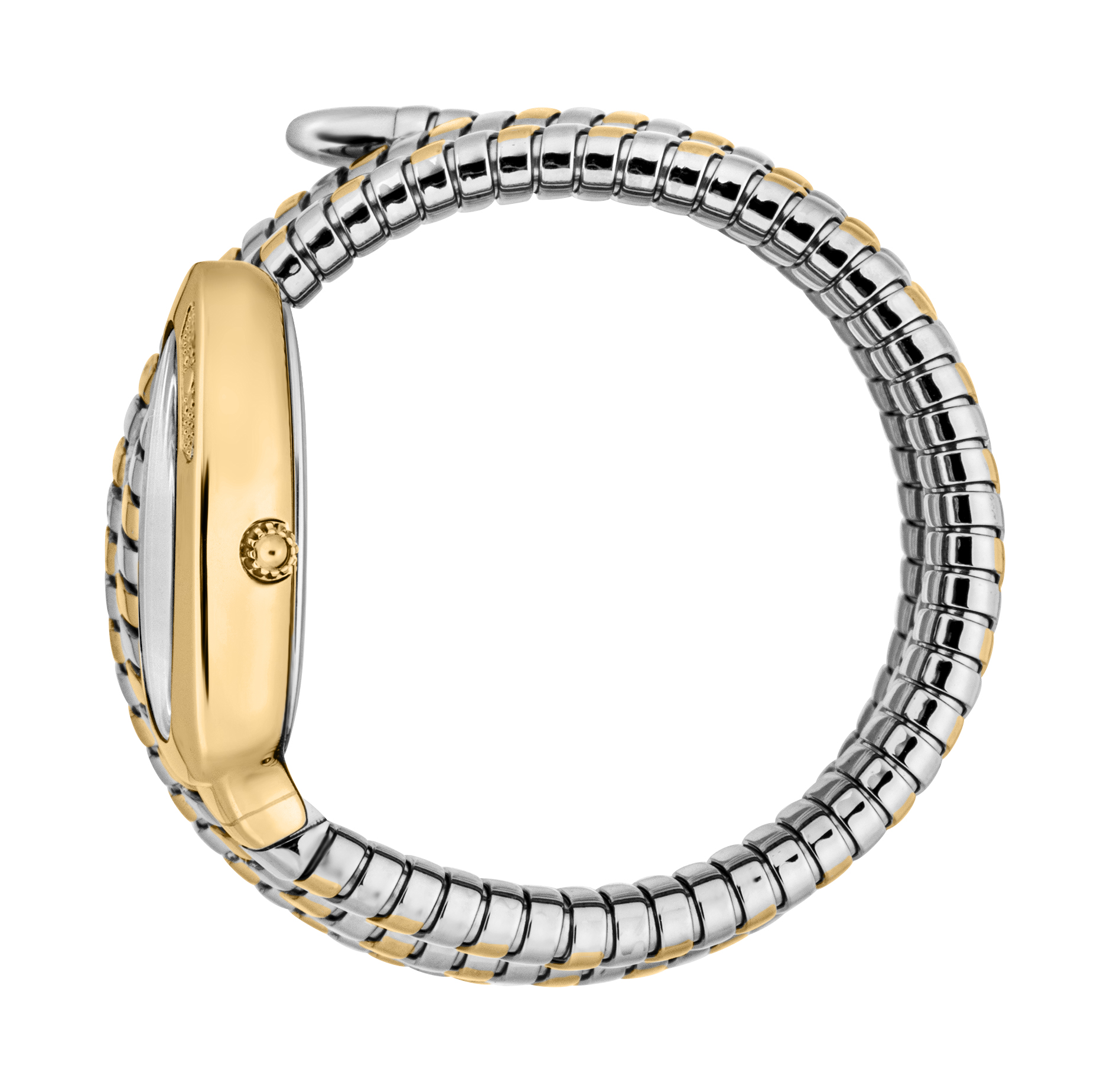 JUST CAVALLI TIME Mod. COSENZA 2023-24 COLLECTION
