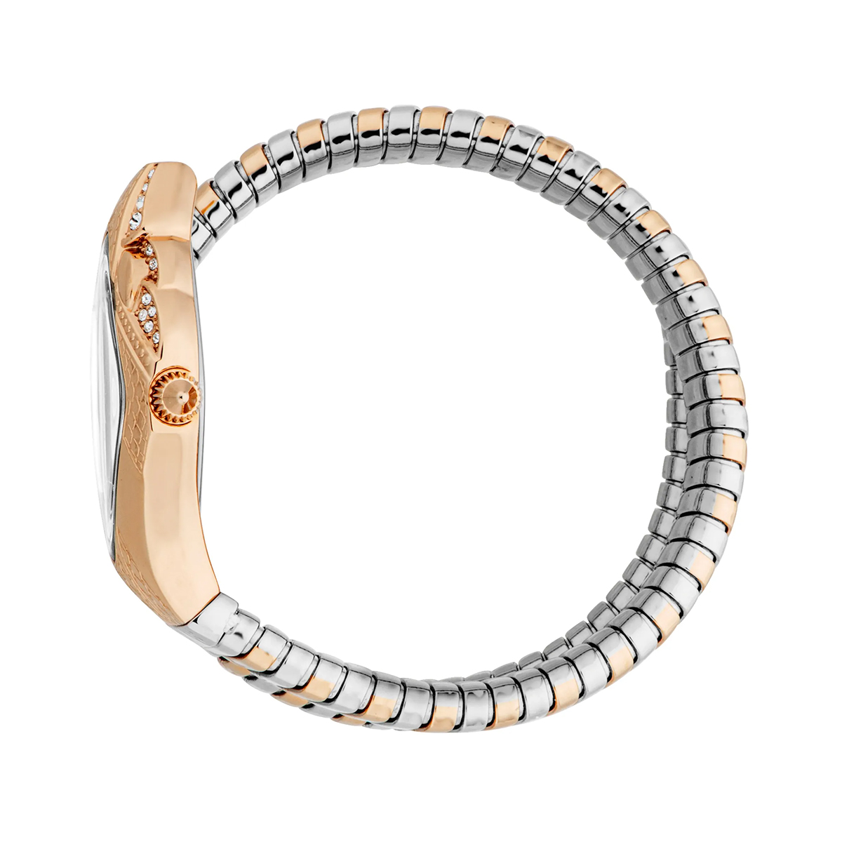 JUST CAVALLI Mod. JC1L306M0075