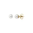 MAJORICA JEWELRY Mod. 00323.01.1.000.701.1