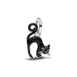 PANDORA JEWELRY Mod. 794769C01