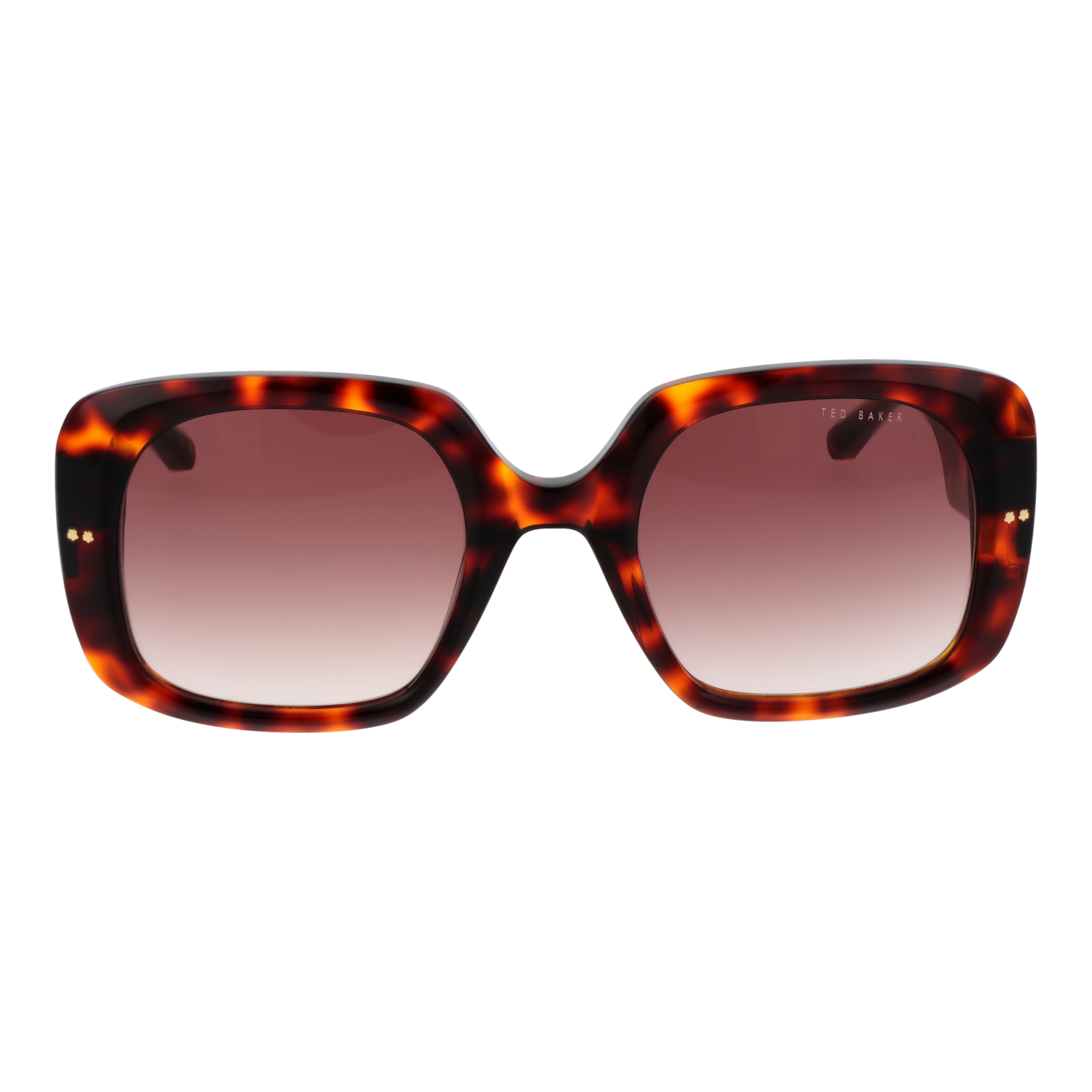 TED BAKER MOD. TB1730 53100